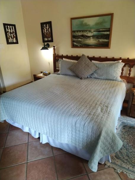 Buona Notte Bed & Breakfast Johannesburg Exterior photo